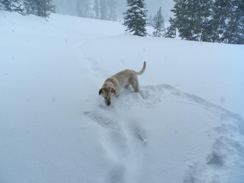 2012 After Season Snow, 24 inches overnight Facebook Post from 04-28-2012