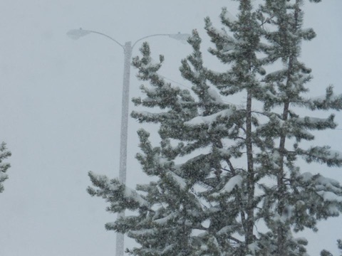 2012 After Season Snow, 24 inches overnight Facebook Post from 04-28-2012