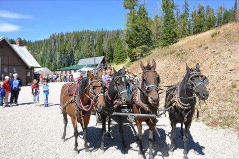 2012 Showdown Montana 19th Annual Labor Day Extravaganza Facebook Post from 09-04-2012