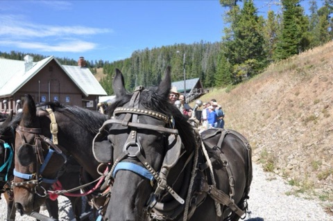 2012 Showdown Montana 19th Annual Labor Day Extravaganza Facebook Post from 09-04-2012