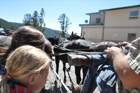 2012 Showdown Montana 19th Annual Labor Day Extravaganza Facebook Post from 09-04-2012