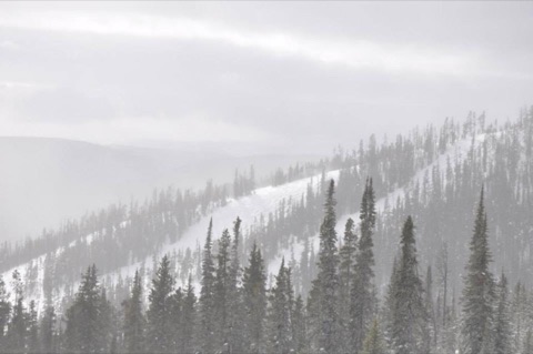 2014 January Snow Days Facebook Post from 01-29-2014