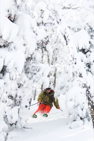 2014 Holiday Powder WEEK Facebook Post from 12-27-2014